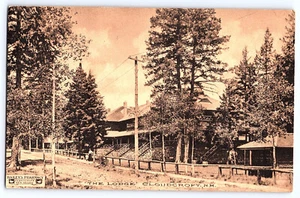 The Lodge Cloudcroft New Mexico ca 1910s Albertype Postcard - Picture 1 of 2