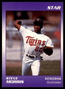 1989 Star Elizabethton Twins Steve Morris Elizabethton Twins #20