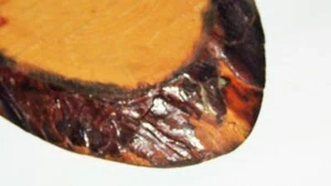 LIVE EDGE WOOD PHOTO ART STAMPED MADE IN CYPRUS VINTAGE ART SAME DAY SHIPPING - Picture 1 of 8