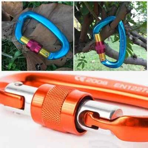 1 Stück Schwerlast Schraubverschluss Karabiner D-Ring Clip Haken zum Klettern Höhlenforschung - Bild 1 von 12