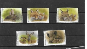 Belgium animals - Picture 1 of 1