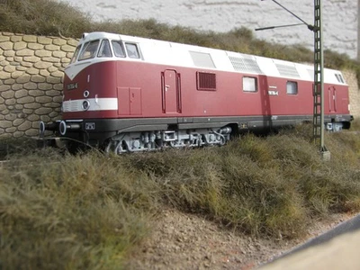 BR 118 DR H0 Sparlackierung Piko Digital mit Sound - Bild 1 von 4