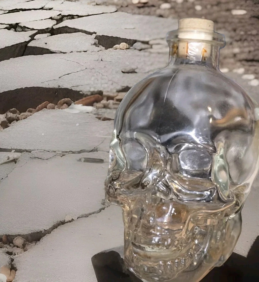 Botella de vidrio de vodka con calavera con cabeza de cristal 750 ml licor esqueleto vacío acroydo transparente Foto 1 de 1