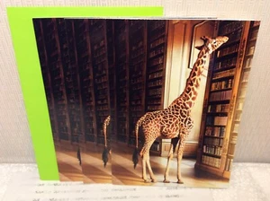 AVANTI PRESS GRADUATION GREETING CARDS New w/Envelope LOT 3 "beyond your each" - Picture 1 of 2