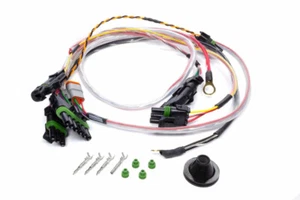 QuickCar Spec Asphalt Late Model Ignition Wiring Harness - Bild 1 von 1