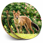 2 x Coasters - Cute Monsoon Dhole Fox Dog Home Gift #3481