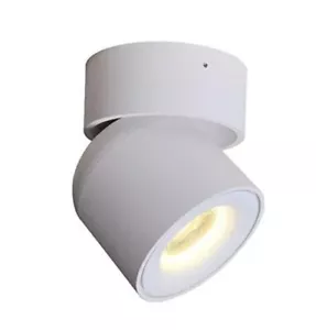 Aisilan LED Ceiling Spotlight Indoor, 7W White Directional Accent Light Fixtu... - Picture 1 of 5