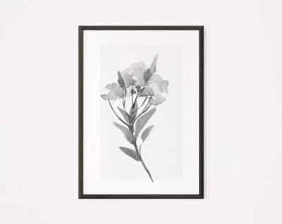 Arte de pared botánico monocromático floral acuarela - decoración mínima para el hogar Foto 1 de 4