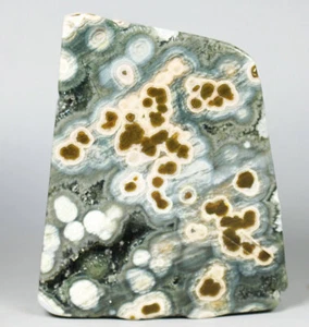 Amazing Natural Ocean Jasper Agate Crystal Stone Slice Jasper Reiki Upstand 119g - Picture 1 of 9
