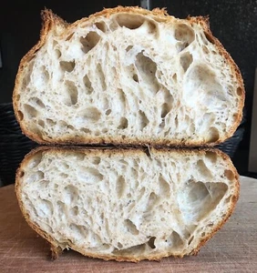SOURDOUGH STARTER DEHYDRATED ACTIVE SOUR TASTY ALASKA - 15 GRAM BAG - Picture 1 of 24
