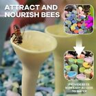 Resin Bee Drinker Cup Attract and Nourish Bees Bee Cups  Garden