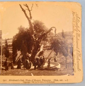Stereoview J F Jarvis Underwood Abrahams Oak Tree Plain Of Mamre Palestine (O) - Picture 1 of 4