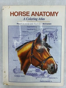 Horse Anatomy : A Coloring Atlas by Robert A. Kainer & Thomas O. Mccracken - Picture 1 of 21