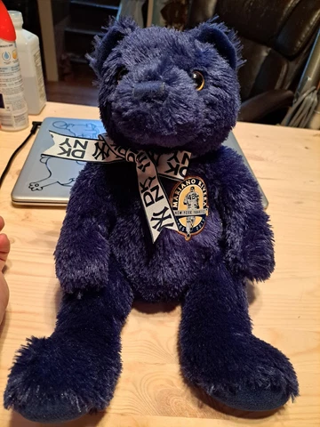 Mariano Rivera New York Yankees TY Plush Closer Bear 1995-2013 DKNY Plush Blue Cover