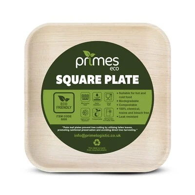 ECO+ Palm Leaf Square Plates Disposable Bamboo Catering Dinner Party Microwave Safe