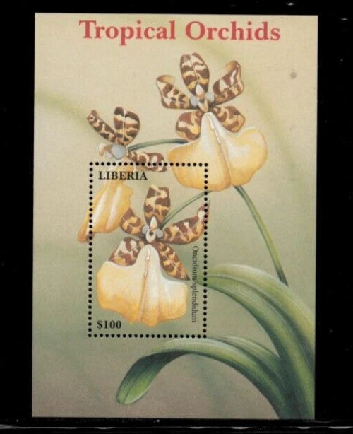 Liberia 2001 - Tropical Orchids Flowers - Souvenir Stamp Sheet - MNH - Image 1 of 1