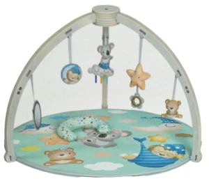 Activity Play Gym For Baby Infant Tummy Time Soft Mat With 6 Movable Mobile Toys - Picture 1 of 11