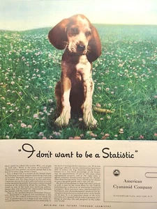 American Cyanamid Veterinary Medicine Hound Pup Distemper Vintage Print Ad 1941 - Picture 1 of 4