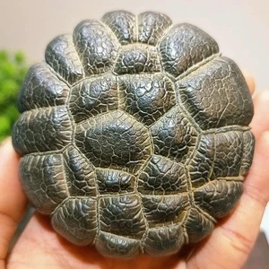 Rarità: pietra di sciamano tibetana "Turtle Back" - dagata del deserto del Gobi - Foto 1 di 6