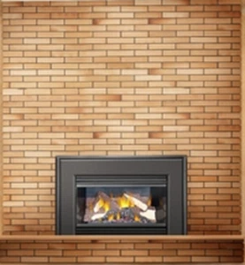 Napoleon Roxbury GI3600-4NSB Natural Vent Fireplace Insert - NG | 24,000 BTUs - Picture 1 of 12