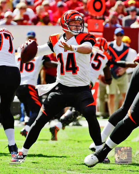  Andy Dalton Cincinnati Bengals - Foto 8x10 con funda protectora #1391 Foto 1 de 1