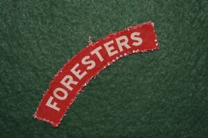 The Sherwood Foresters (Notts & Derby Regt)  Printed Cloth Shoulder Title - WW2