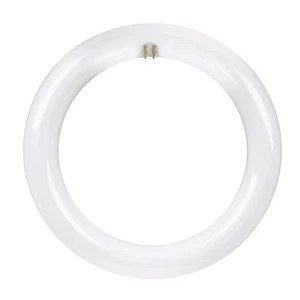 Feit Electric FC8/840/LED G10Q White 22W Circular Specialty LED Bulb (Pack of 4) - Picture 1 of 1