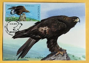 Maximum Card. Fauna/ Birds/ Golden Eagle ( Aquila Chrysaetos). Moldova - Picture 1 of 2