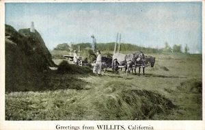 WILLITS, KALIFORNIEN. POSTKARTE "GRÜSSE AUS" Heu aufstecken, Pferdegespann. Menschen - Bild 1 von 2