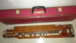 Kindenryu SATSUKI Electric Taishogoto + Hard Case (#12) - Picture 1 of 3