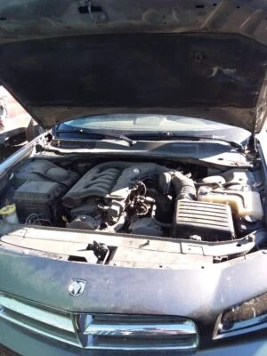 Antena usada compatible con: Dodge Charger 2010 grado A Foto 1 de 4