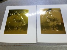 Wayne Gretzky THE GREAT ONE Oilers Kings NHL RARE ODDBALL UPDATED YOU PICK