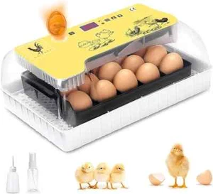 Incubadora Automática de Huevos Gallina, Aves y Pollos | para 12-35 Huevos | Rot - Imagen 1 de 5