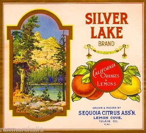 Caja de frutas cítricos naranja Lemon Cove Tulare Silver Lake Yosemite etiqueta estampado artístico - Imagen 1 de 1