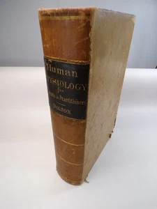 Antike menschliche Physiologie von John C. Dalton 6. Auflage 1875 Hardcover illustriert - Bild 1 von 9
