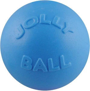 Bounce-N-Play Dog Toy Ball, 6 Inches, Blueberry, All Breed Sizes - Picture 1 of 12