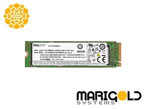 Dell 480GB NVMe M.2 PCIe Gen3 RI SSD 08M01 008M01 - Imagen 1 de 1