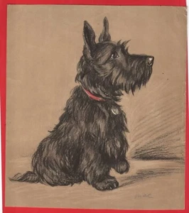 SCOTTISH TERRIER  LOVELY VINTAGE STYLE DOG ART PRINT BY MAC - Picture 1 of 1