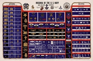 UNITED STATES RANK INSIGNIA (History) POSTER 24 X 36 Inches - Picture 1 of 2