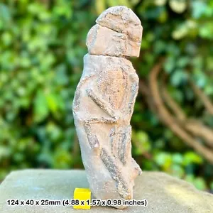 Authentic Meyeria magna Fossil Lobster, Cretaceous: Isle of Wight, UK - - Imagen 1 de 2