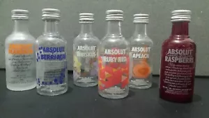 Lot of Six EMPTY ABSOLUT VODKA 50ML MINI GLASS BOTTLES W/CAPS.FREE SHIPPING. - Picture 1 of 1
