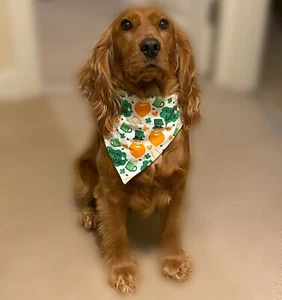 St Patricks Day Kiss Me Luck Clover Leprechaun Irish Dog Bandana Neckerchief - Picture 1 of 7
