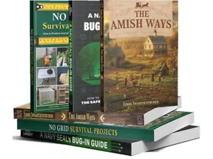 The Ultimate Guide to Survive: A Navy Seal's Bug-In Guide & The Amish Ways - A5 - Bild 1 von 18