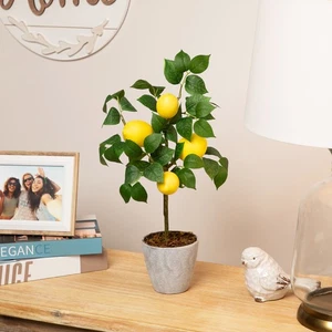 Northlight 20-Inch Artificial Potted Mini Lemon Tree - Picture 1 of 8