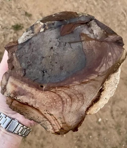 2,82 Pfund blauer Biggs Bild Jaspis Lapidar grob aus Biggs, Oregon - Bild 1 von 5