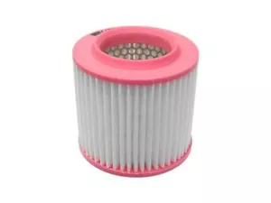 Air Filter Mann 71QJFJ98 for Audi A8 Quattro S8 2005 2006 2007 2008 2009 - Picture 1 of 1