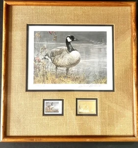 1987 Federal Duck Stamp Print Robert Bateman Limited Edition Canadian Goose Gold - Picture 1 of 7