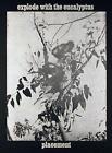 Les Levine, Explode With The Eucalyptus, Photo-Etching, Signed And Numbered In P