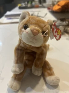 Amber - ty Beanie Babies - 1999 - Picture 1 of 1