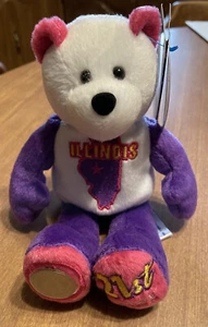 ILLINOIS LIMITED TREASURES COIN BEAR STATE QUARTER - Bild 1 von 4
